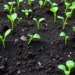 Coal Ash Legacy Rewires Floodplain Soil Microbes and Their Nitrogen Genes