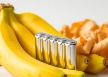 Supercapacitors Made From Banana Peels and Chicken Bones Could Power the Green Grid