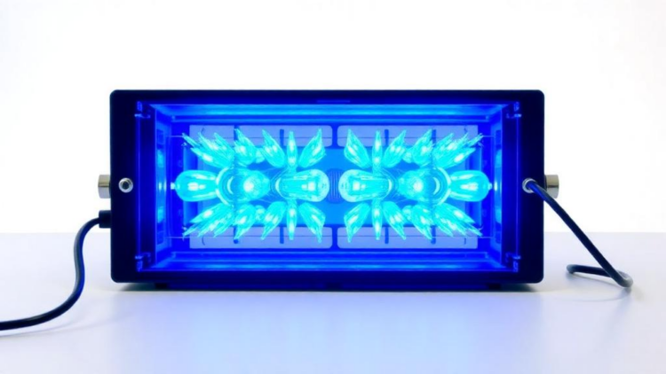 A Two-Minute Voltage Test Could Reveal Hidden Flaws in Hydrogen Electrolyzers