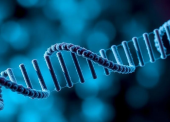 Blocking a Magnesium-Sensing RNA Shredder Makes Cancer Immunotherapy Work Better