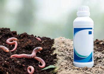 Earthworm Tests Reveal Hidden Risks of Widely Used Herbicide Glufosinate