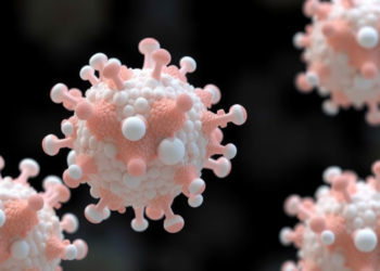 Ionic Clusters Take Center Stage as Building Blocks for Porous Organic Salts