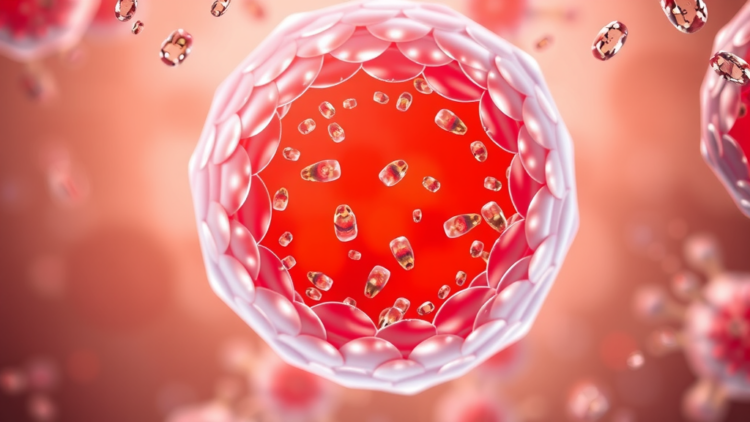 Nanoplastics During Pregnancy Disrupt the Placenta by Skewing Immune Cells Toward Inflammation