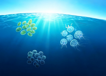 Environmental structuring of mixoplankton functional types within marine protist communities: a global analysis
