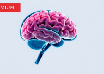 Temporal Muscle Thickness Does Not Predict Survival in Older Brain Cancer Patients