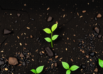 AI Model Predicts Biochar Soil Fertility With Unprecedented Accuracy