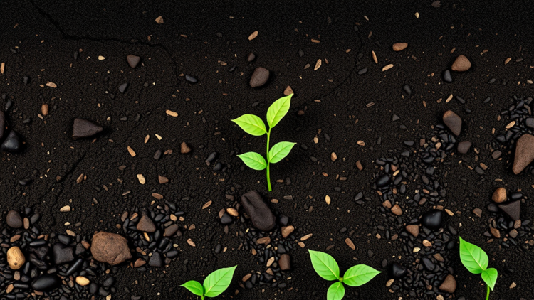AI Model Predicts Biochar Soil Fertility With Unprecedented Accuracy