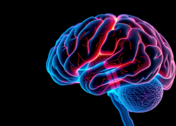 Motor Learning May Not Reshape Brain Structure as Strongly as Thought