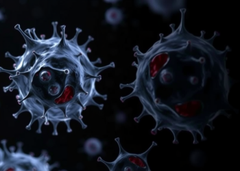 Ultrasound Waves Reawaken Ovarian Cancer Cells’ Vulnerability to Iron-Driven Death