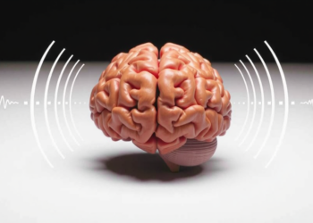 A Single Sound Can Convince Your Brain That Touching Objects Never Made Contact