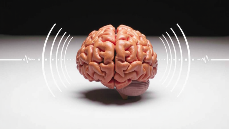 A Single Sound Can Convince Your Brain That Touching Objects Never Made Contact