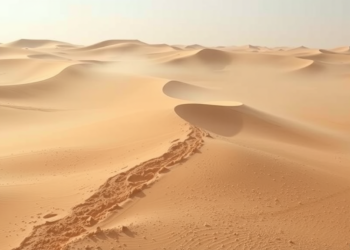 Desert Dust Has Been Quietly Locking Away Carbon Dioxide for Millions of Years