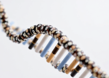New Long-Read RNA Sequencing Workflow Cracks Tough Splicing Variants in Rare Disease