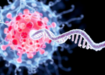 Neutrophil Traps That Feed Tumors: DNA Webs Emerge as Drivers and Markers of Cancer Progression