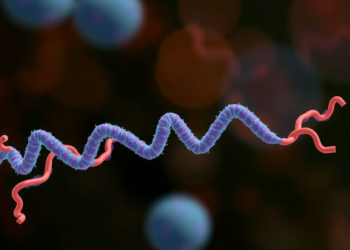 NINJ1: The Membrane-Rupturing Protein That Decides How Cells Die and How Tumors Thrive