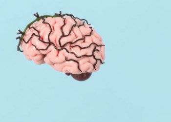 Brain Wiring Deviations in Youth With ADHD Forecast Symptoms and Treatment Response