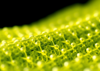 Molecular Dynamics Simulations Reveal How Graphene Fillers Transform Elastomers