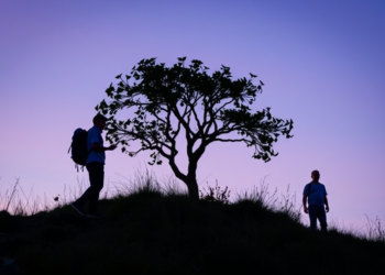 Citizen Scientists Could Hold the Key to Transforming How the World Values Nature