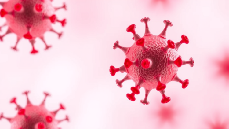 Newly Discovered Trypsinogen Variants Drive Immune Responses in IgG4-Related Disease