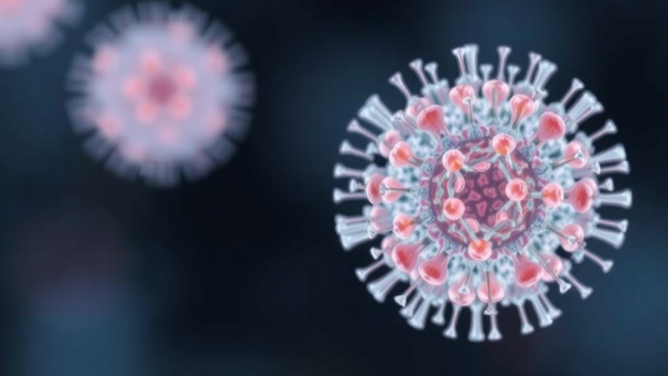 Magnetic Nanoparticles Offer Rapid, Reliable Diagnosis of Penicillin Allergy