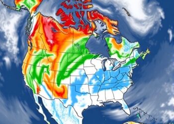 Subseasonal precipitation forecasts hinge on atmospheric and land initial conditions