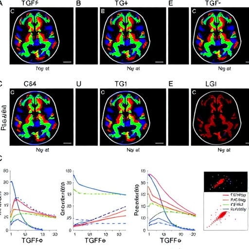 TGF-β expression patterns across meningioma grades revealed by multi-omics analysis