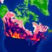 Tracking treeline productivity across Canada with multi-source remote sensing
