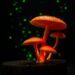Trichoderma lixii secondary metabolites induce cancer cell apoptosis, GC-MS study shows