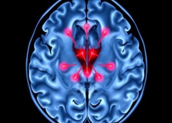 Ultra-high field MRI maps locus coeruleus connectivity in anxiety and PTSD