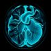 Variational autoencoders detect coronary artery disease in SPECT images
