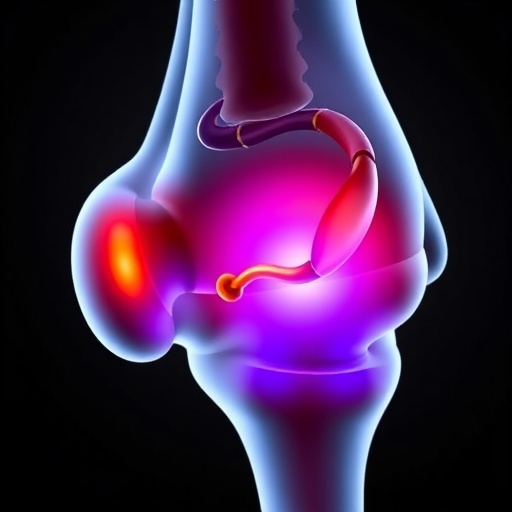 Vasoactive intestinal peptide promotes cartilage formation and modulates osteoarthritis mediators