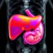 Visceral fat ratio reliably predicts survival and toxicity in advanced liver cancer