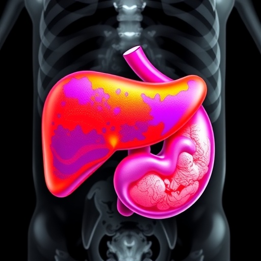 Visceral fat ratio reliably predicts survival and toxicity in advanced liver cancer