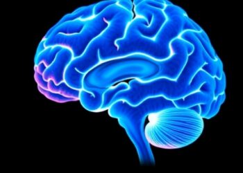 What Brain Imaging Reveals About Predictors of Reading and Math Skills