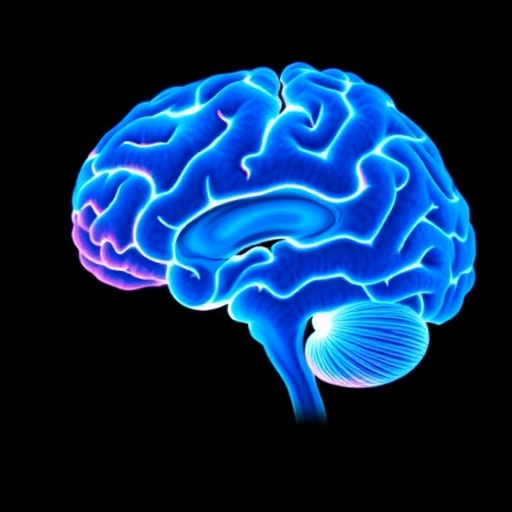 What Brain Imaging Reveals About Predictors of Reading and Math Skills