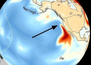 What drives salinity changes in the Northeastern Pacific transition zone?