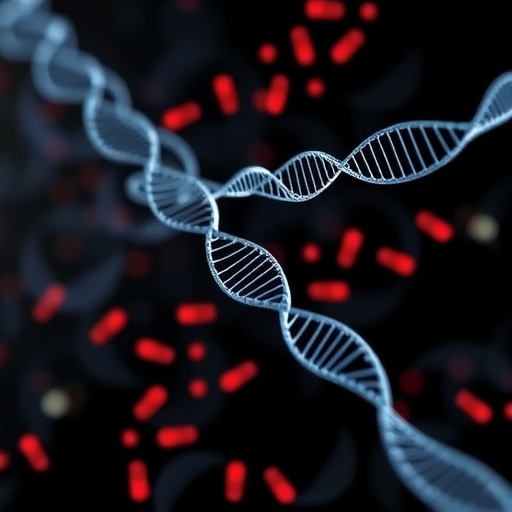 Whole-genome sequencing reveals genetic predictors of rifabutin susceptibility in multidrug-resistant tuberculosis