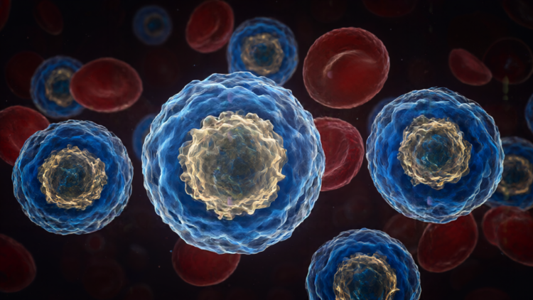 Immune cells in the bloodstream — AI-generated illustration