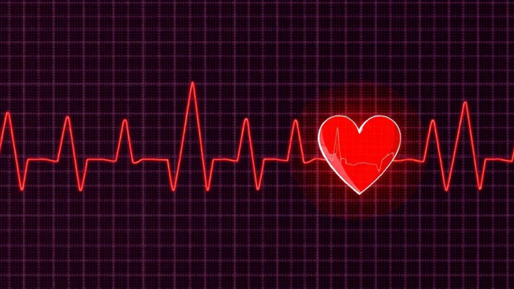 AI Reads Children’s ECG Reports to Flag Hidden Heart Disease