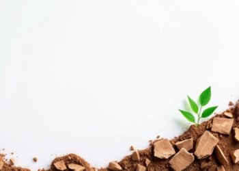 Why Environmental Science’s Biggest Breakthroughs Now Demand Many Disciplines at Once