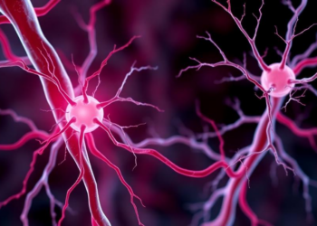 Blood Vessel Growth Research Surges as Angiogenesis Science Reaches New Heights