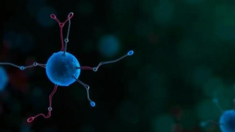 Stem Cell Models to Reveal Why Parkinson’s Disease Hits Women Differently