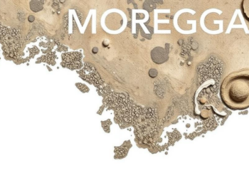 AI turns 26 sediment samples into a map of an estuary’s entire plastic legacy