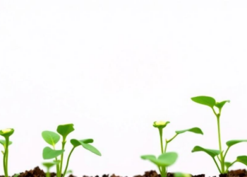 EU Adopts Landmark Rules for Gene-Edited Plants After Two-Decade Wait