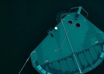 The Toxic Afterlife of a Boat Paint Biocide Is Rewriting Risk Assessment