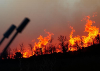 Fire’s Hidden Carbon: Labile Sugars Race Ahead of Black Carbon After Wildfire