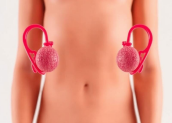 Low Vitamin D and TSH Emerge as Striking Biochemical Signatures of Ovarian Syndrome