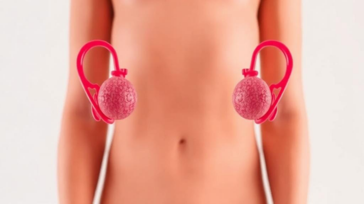 Low Vitamin D and TSH Emerge as Striking Biochemical Signatures of Ovarian Syndrome