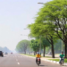Hidden Acid in City Air Emerges as Key Driver of Ozone and Smog Trends