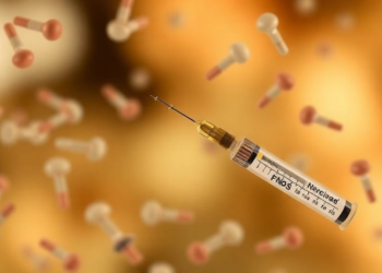 Gut bacteria may decide who gets a fever after vaccination